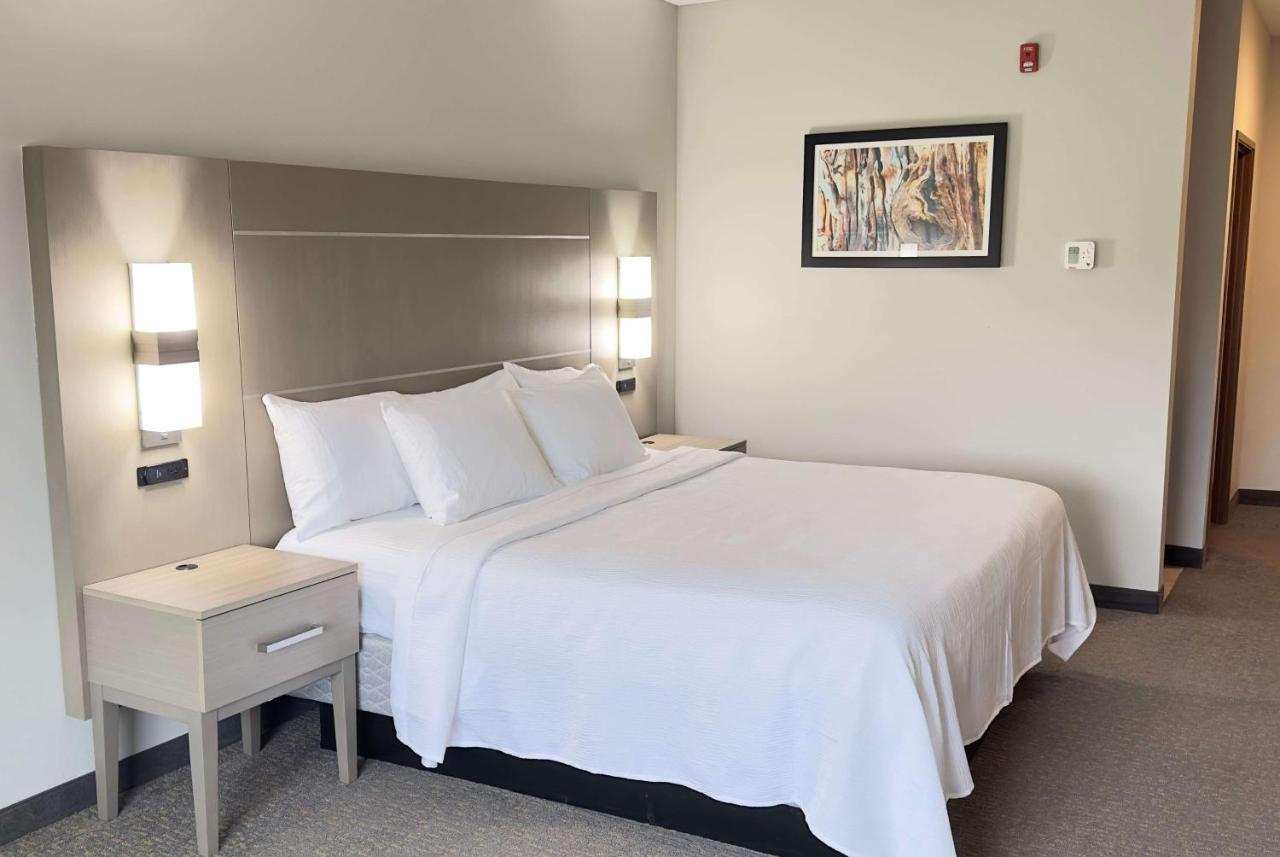 La Quinta Inn & Suites By Wyndham Jackson-Cape Girardeau Buitenkant foto